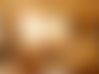 A wide-angle, high-brightness photo of a clean living room with sunlit hardwood floors