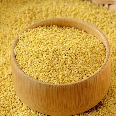 Thinai - திணை