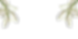 Perduret Flower arches-2.png