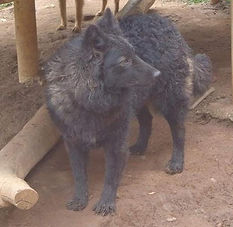 WhatsApp Image 2024-02-11 at 16.54.13.jpeg