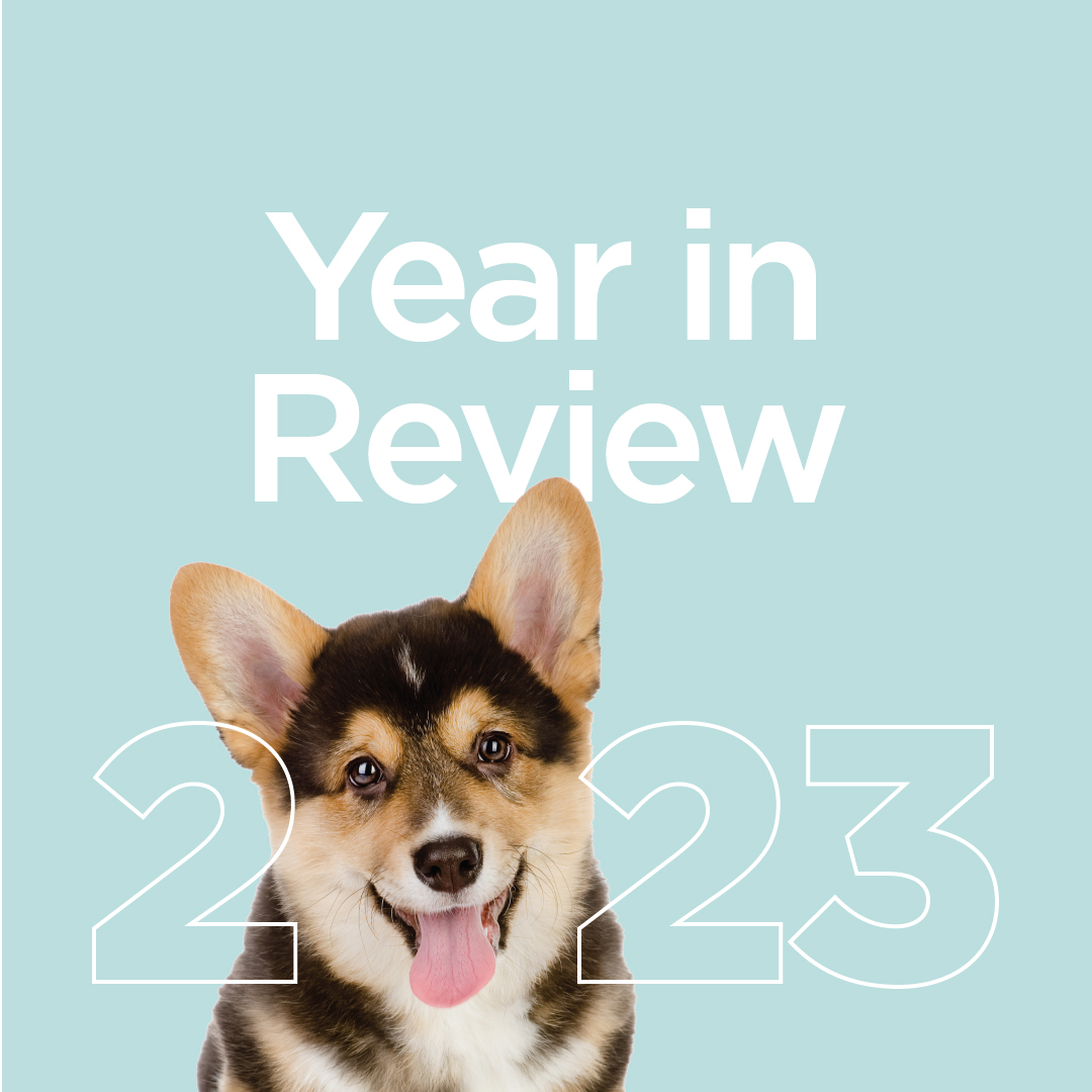 QSM Diagnostics year in review