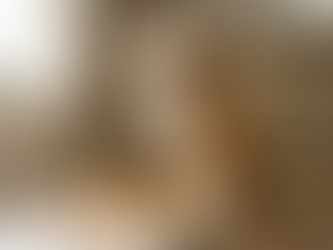 Are Dog Food Toppers Safe for Daily Use? and Our Top Picks