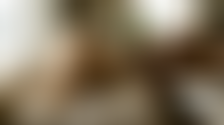 Dog Dental Chews Guide: Tips for Healthier Teeth