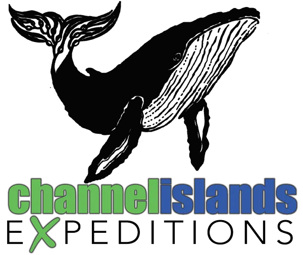 CIEx-whale-logo-retina.webp