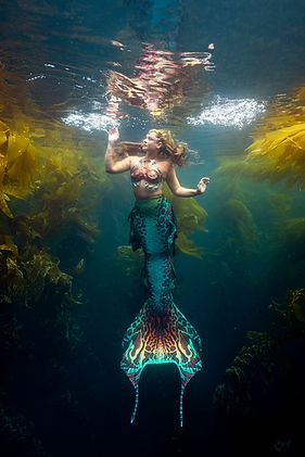 Professional Mermaid | Vero Beach Mermaid