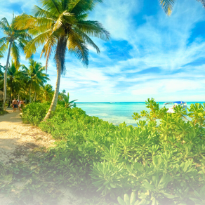 New Digital Media Company Coconut Breeze Media Brings Tailored Solutions to Tourism, Hospitality, and Scuba Diving