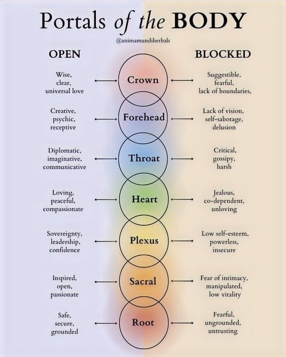 Energy Portal Chart | Image: @Animamundiherbals