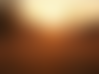 Beautiful Sun Rise in a Country Field