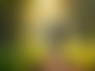 Fit man jogging in the woods