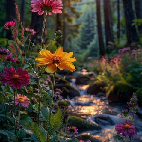 Beautiful Flowers Next To Woorland Creek