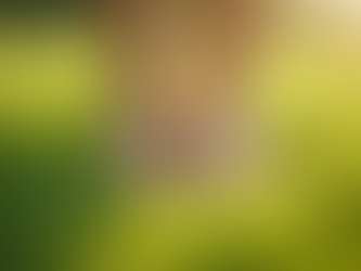 Barefoot grounding in the lush green grass.