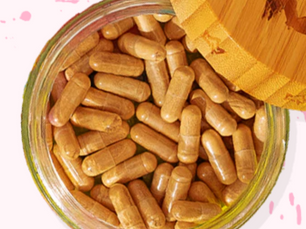 Get Primal Queen's PQ-7 Supplement Here