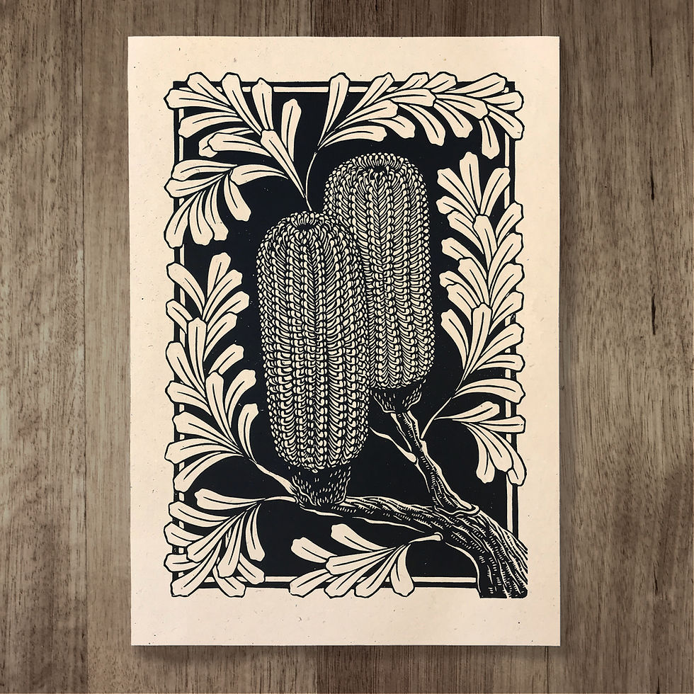 Thumbnail: A4 Banksia Marginata