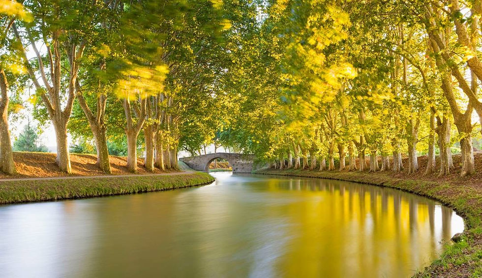 Le Canal Du Midi 