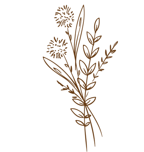 flor.png