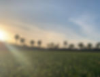 64DF21AB-2F40-418A-B30F-6642A32397B6.jpeg