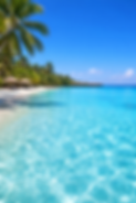 Beach pic.png