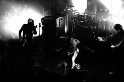 1796902_425194454282369_716784062_o