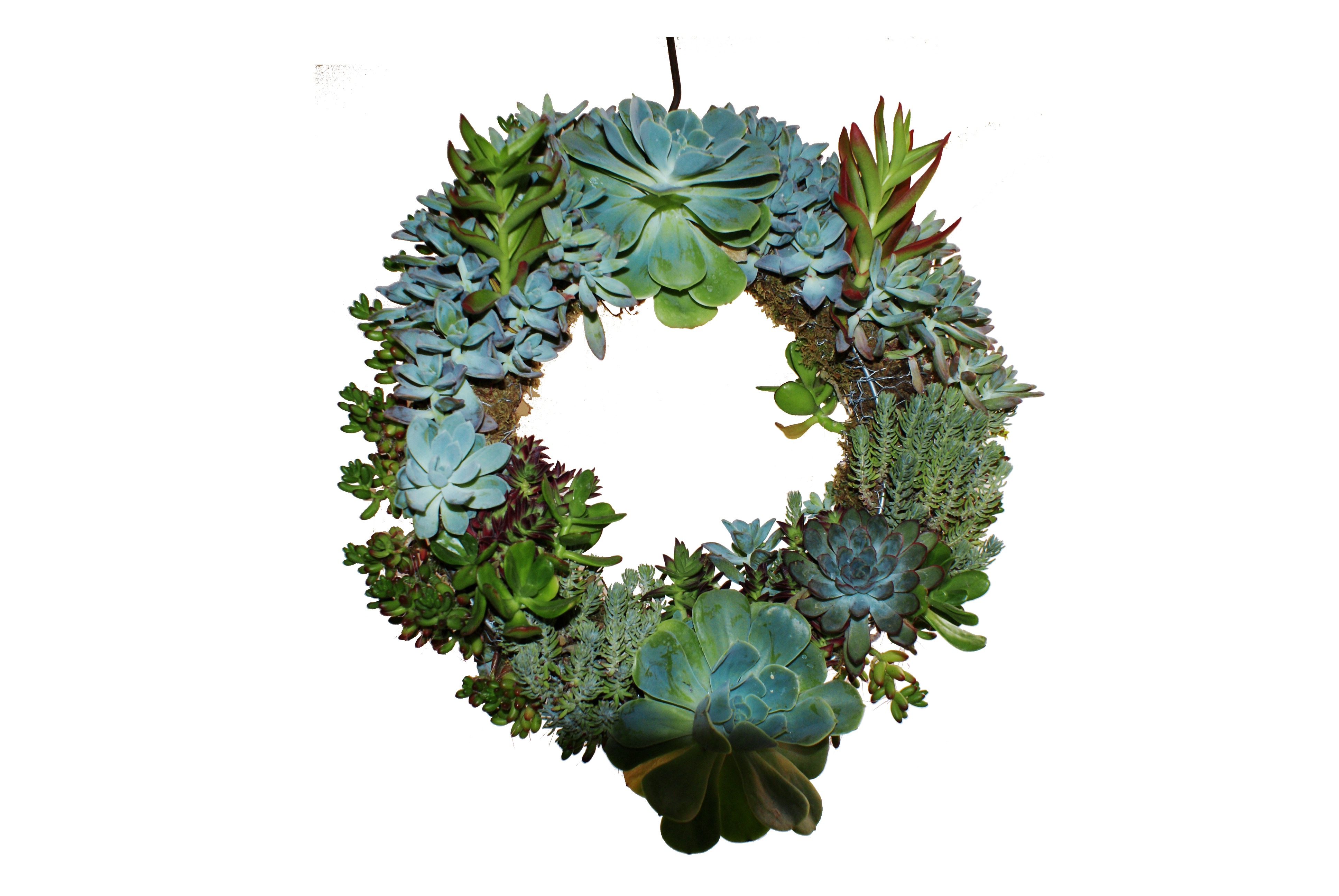 aro verde