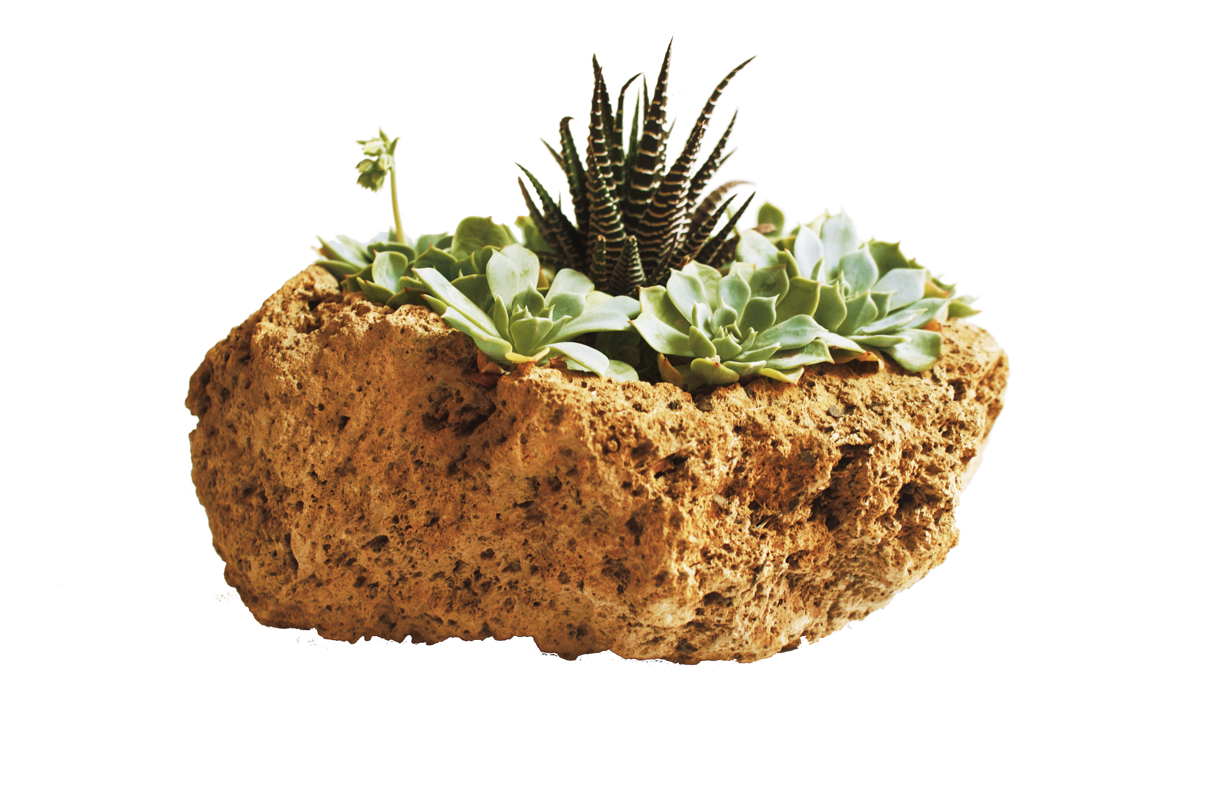 piedra viva
