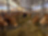 IMG_9992.jpeg