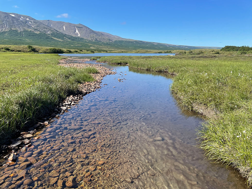 Hot Springs Creek, Windy Cove & Kigluiak Mountains