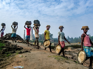 Cultivating Prosperity: Protecting Rural Workers from Forced Labor and Child Labor