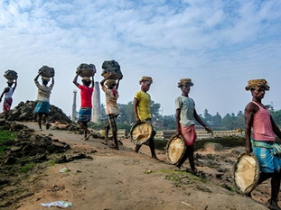 Cultivating Prosperity: Protecting Rural Workers from Forced Labor and Child Labor