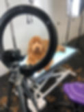 160304701_441648090424006_6824056401788652855_n.jpg