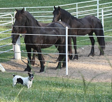 Screen Shot 2024-02-17 at 2.17.14 PM.png