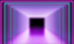 10019079