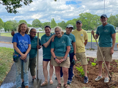 Native Gardens for a Public Space – It takes a Community