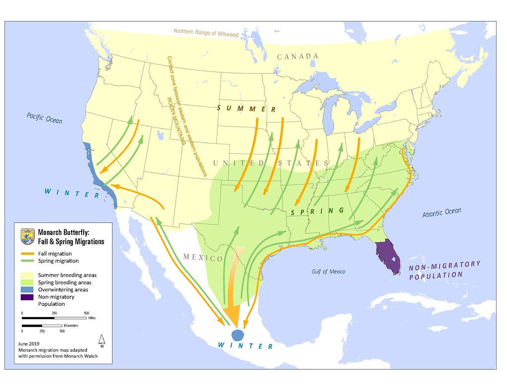 Monarch migration map