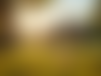 Improving Community Wellbeing in Ward 8