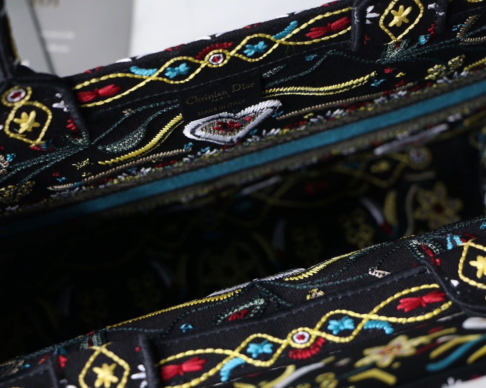 Thumbnail: DIOR Book Bag