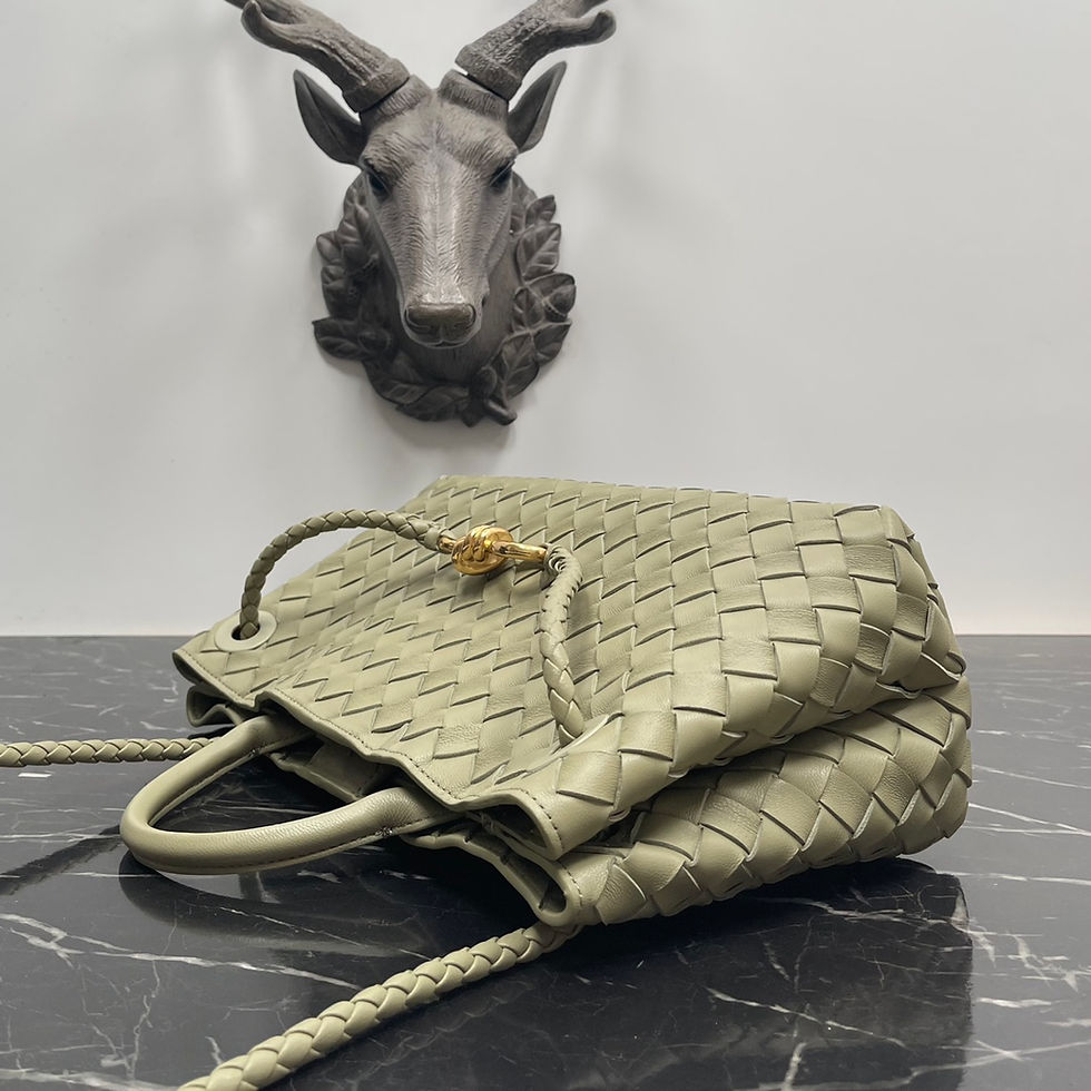 Thumbnail: BOTTEGA BAG