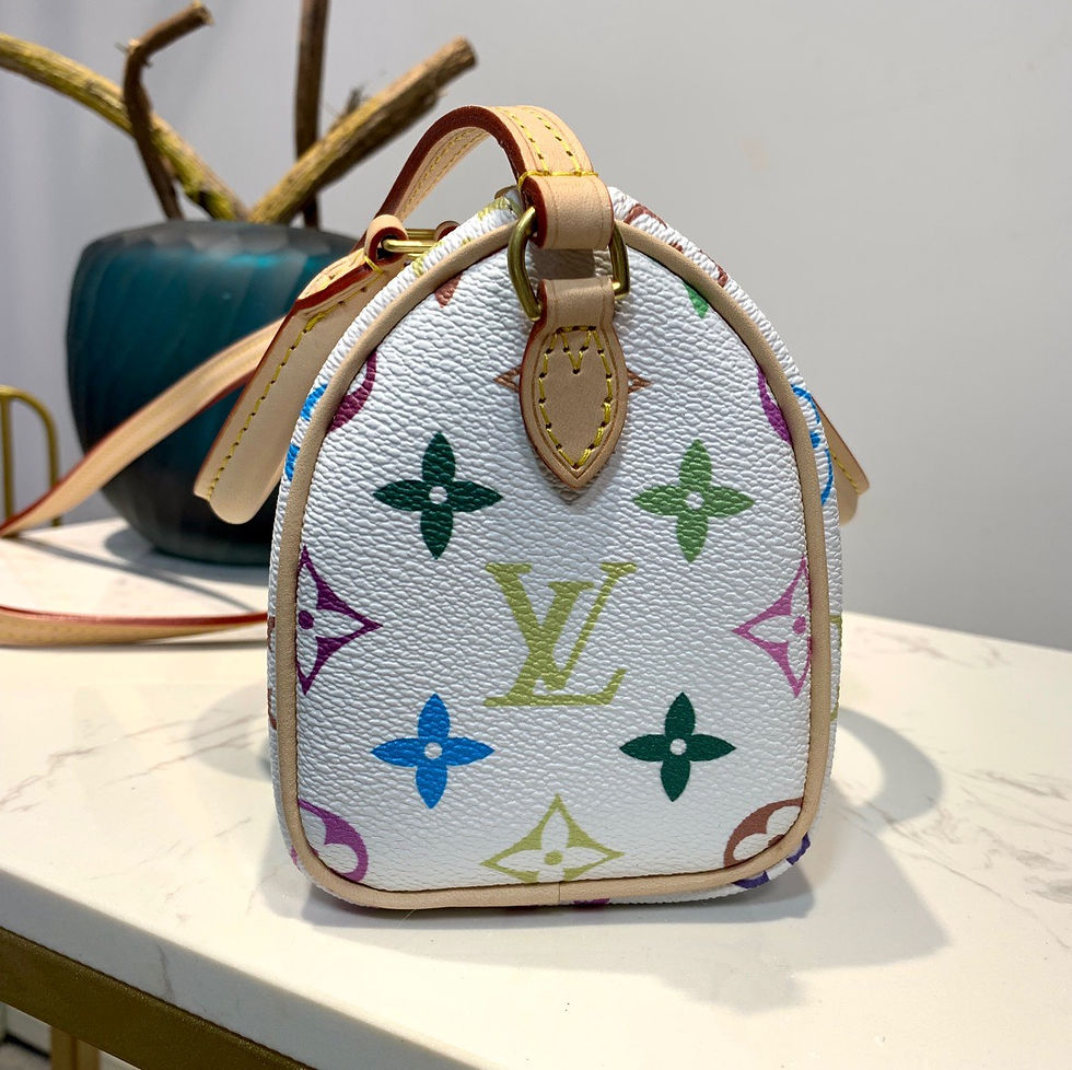 Thumbnail: LOUIS VUITTON MINI SPEEDY