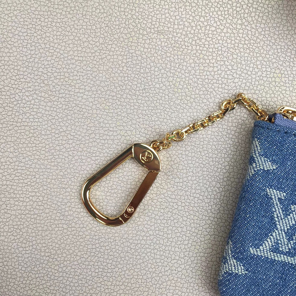 Thumbnail: LOUIS VUITTON POUCH