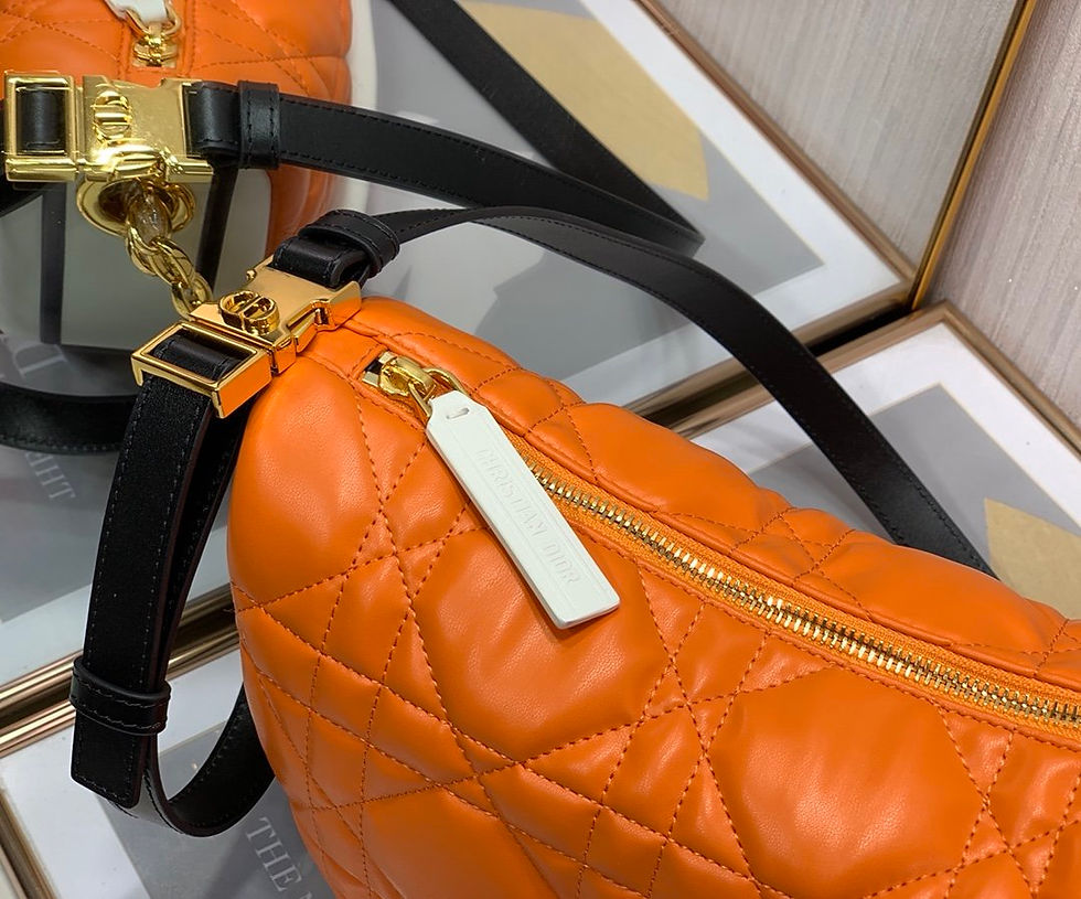 Thumbnail: DIOR BAG