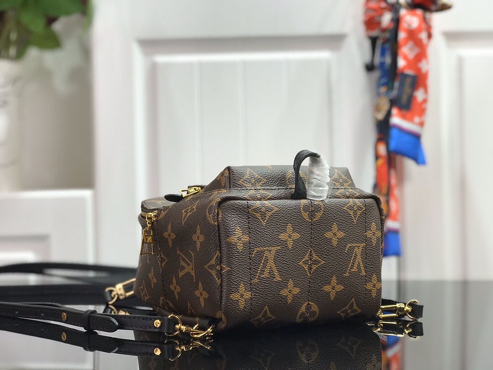 Thumbnail: LOUIS VUITTON Monogram Canvas Palm Springs Backpack Bag