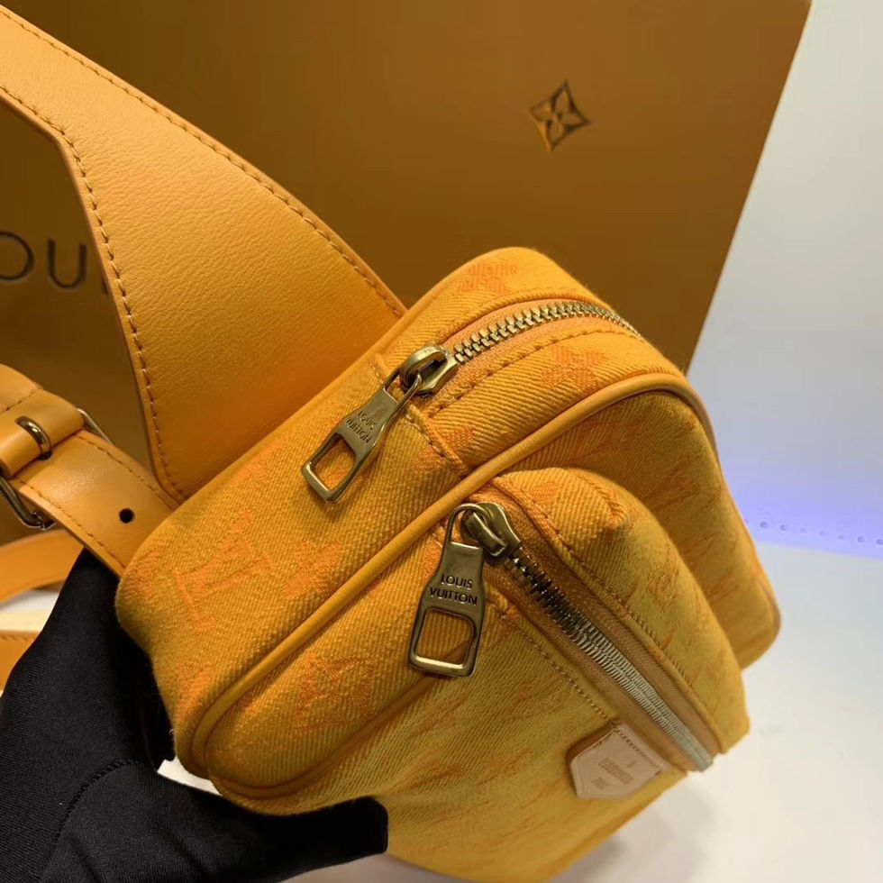 Thumbnail: LOUIS VUITTON OUTDOOR MESSENGER