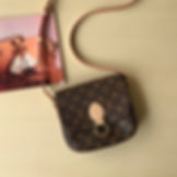 LOUIS VUITTON Monogram Pochette Metis