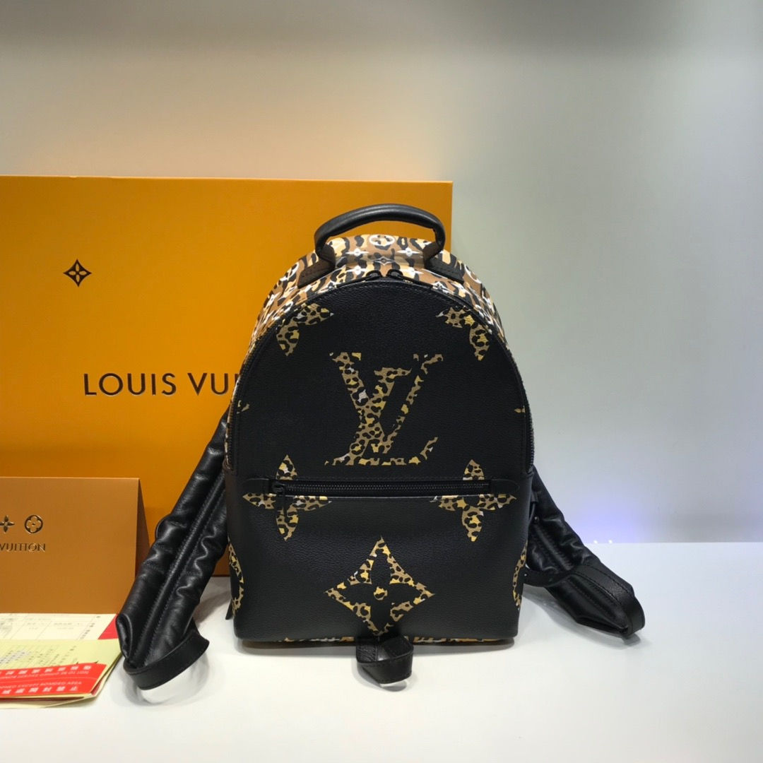 LOUIS VUITTON Backpack