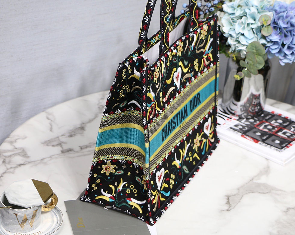 Thumbnail: DIOR Book Bag