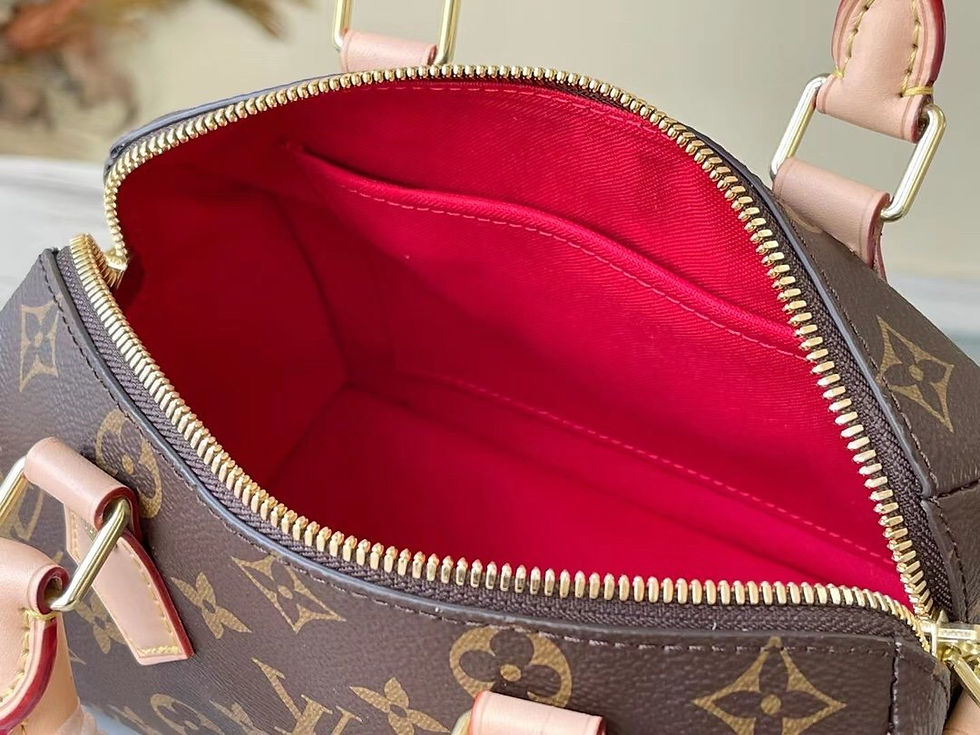 Miniaturbild: LOUIS VUITTON BAG