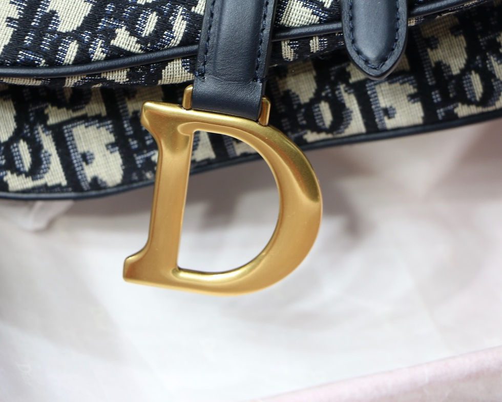 Thumbnail: DIOR OBLIQUE SADDLE BAG