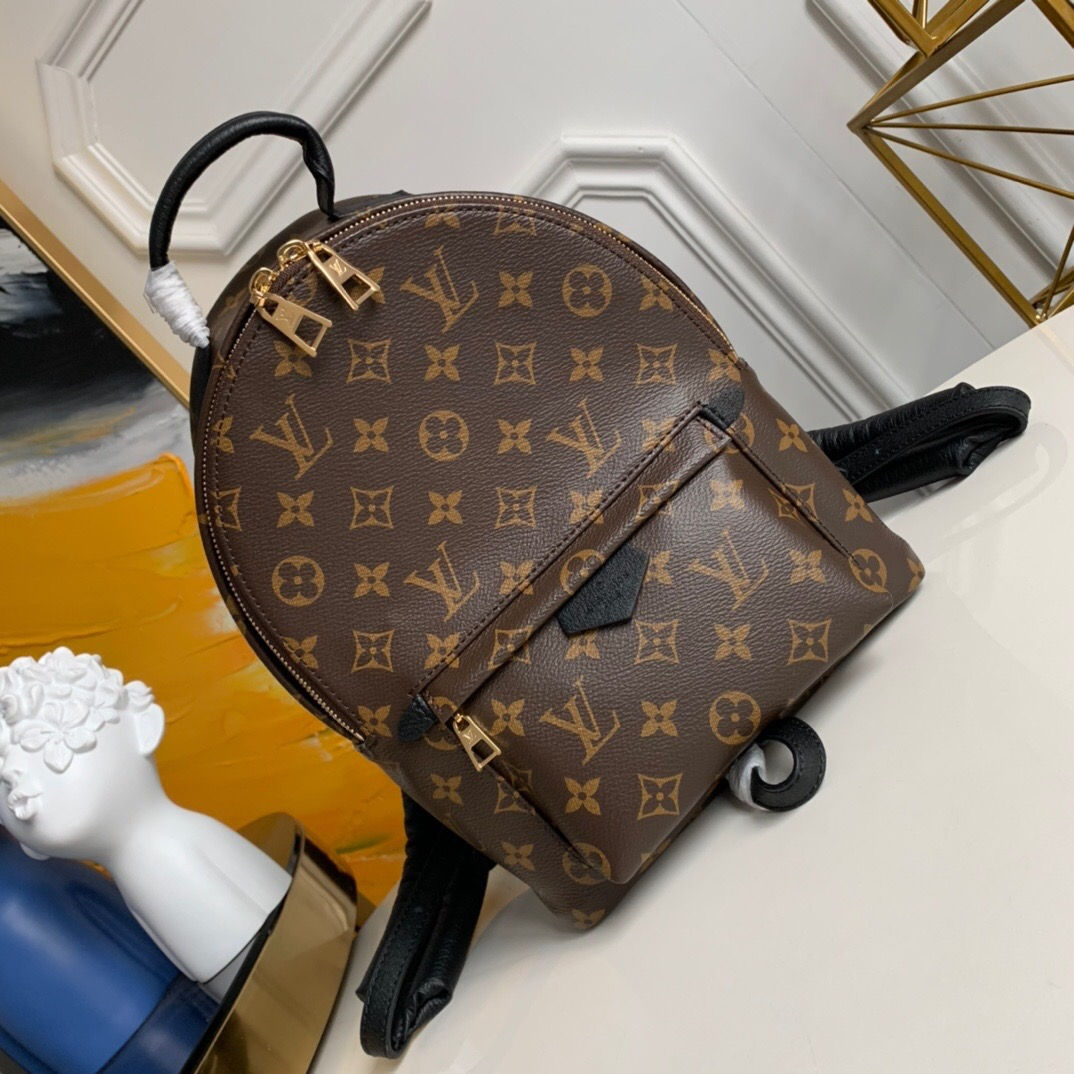 LOUIS VUITTON Monogram Canvas Palm Springs Backpack Bag