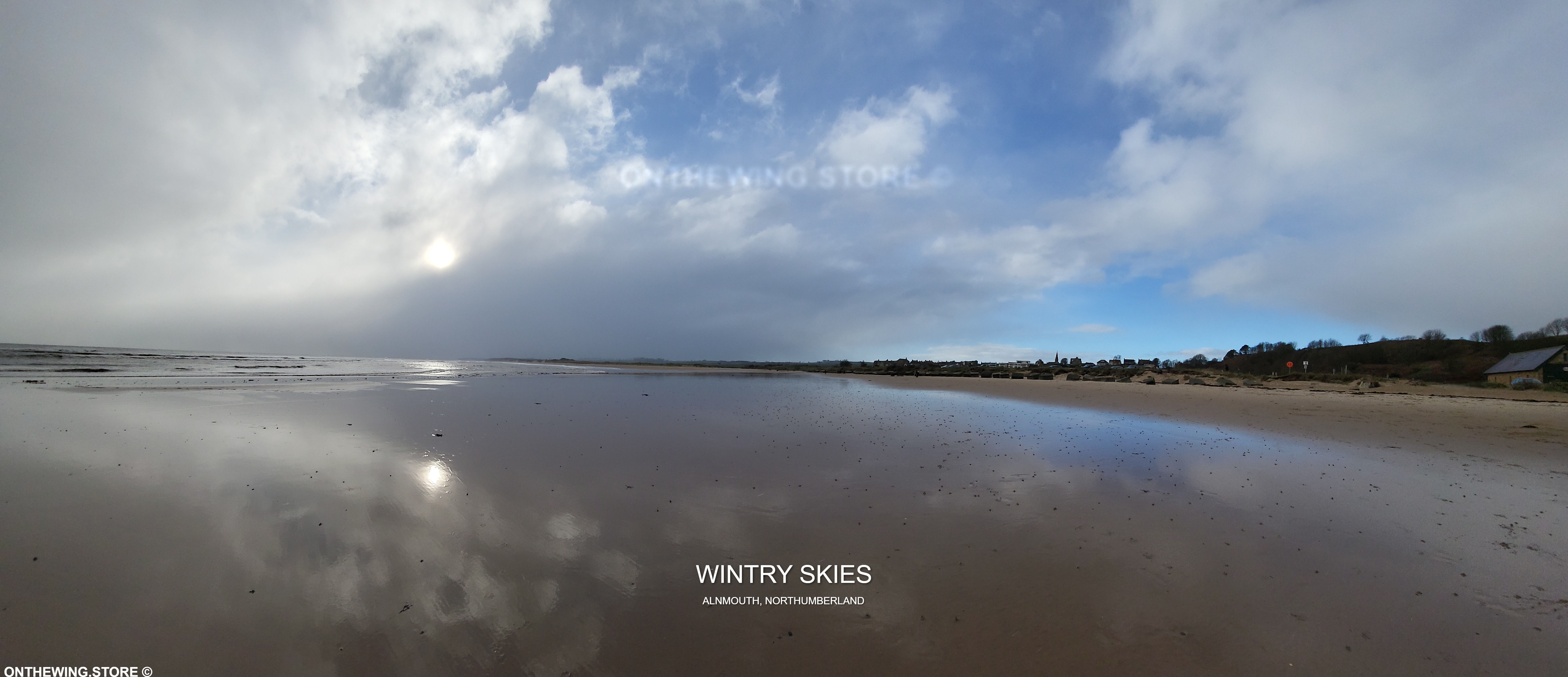 Wintry Skies