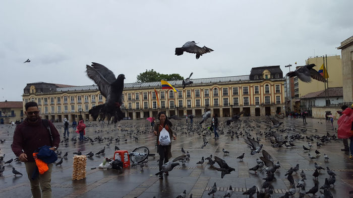 La Candelaria