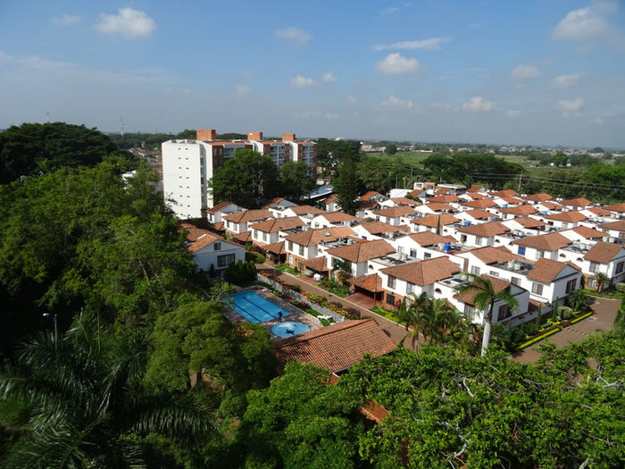 Cali - Palmira